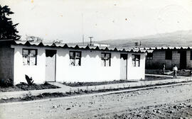Fotografía de viviendas construidas en Paraíso, programa habitaciónal del Instituto Mixto de Ayud...
