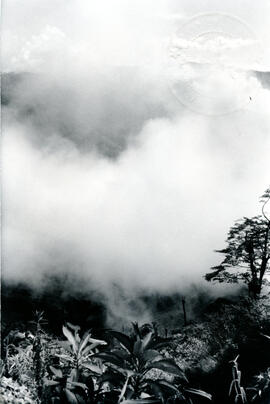 6043-3.jpg