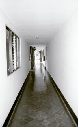 6249-14.jpg