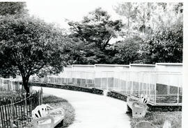 4153-3.jpg