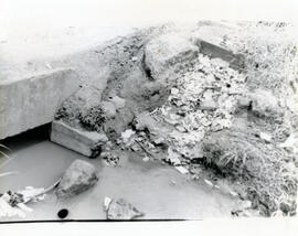 4766-2.jpg