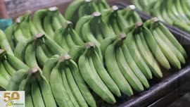 Video sobre los aportes de la industria bananera de Costa Rica (audio en inglés, sin subtítulos)