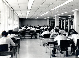 4500-2.jpg