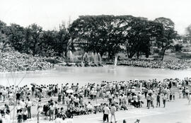 4989-12.jpg
