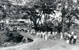 4991-2.jpg