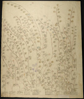 Genealogía de las familias Flores Rueda, Salazar Castro, Morales Valverde, Caryt y Montelegre Fer...