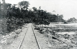 Fotografía de la vía ferroviaria entre Limón y Portete. Se observa gran vegetación y la orilla de...