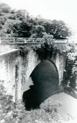Fotografía lateral del Puente Piedra en Grecia Alajuela