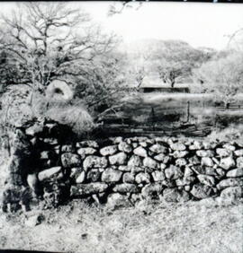 4121-12.jpg