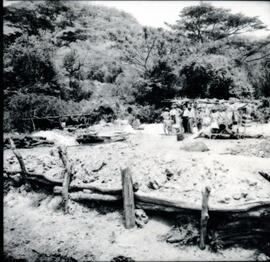 4120-11.jpg