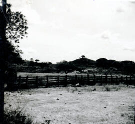 4126-37.jpg