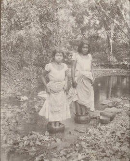 Fotografías de la escena sobre la preparación del Biscocho Nicoya no. Aparecen un niño y dos niña...