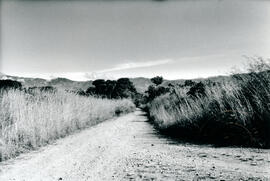 6041-2.jpg
