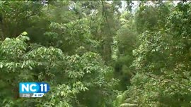 Video de reportaje de NC11 sobre el Parque Nacional Braulio Carrillo