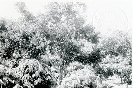 4281-6.jpg
