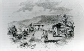 Fotografía de un dibujo que ilustra la hacienda de café de Mariano Montealegre Bustamante y su se...