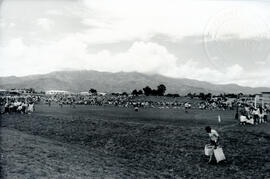 4991-4.jpg