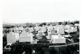 87-2.jpg
