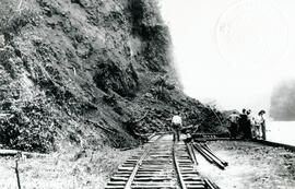 4615-9.jpg
