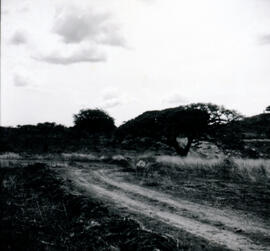 4118-7.jpg