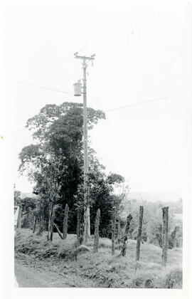 4689-3.jpg