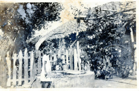 Open original Digital object