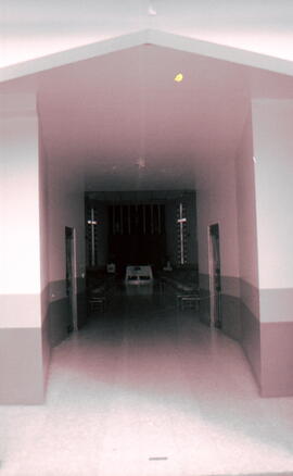 6252-5.jpg