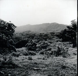 4128-21.jpg