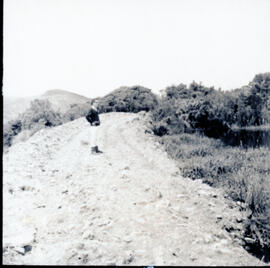 4129-8.jpg