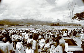 4989-2.jpg