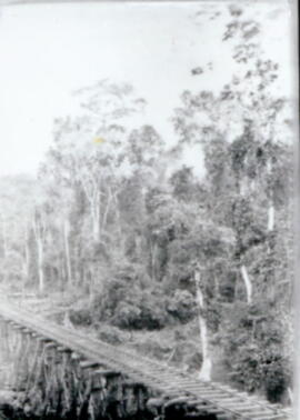003456-5