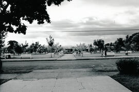 6253-2.jpg
