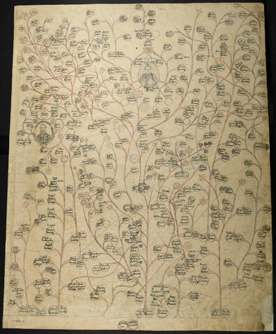 Open original Document numérique