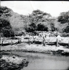 4120-10.jpg