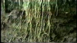 Video del documental TRIMAT Supresor orgánico de nemátodos, producto novedoso, resultado de la fe...