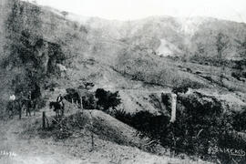 6319-3.jpg