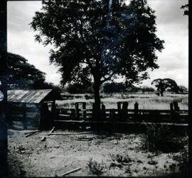 4126-21.jpg