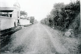 6319-2.jpg