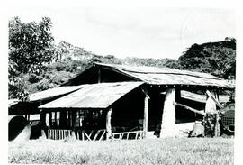 4153-20.jpg