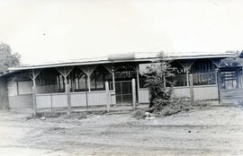 5816-2.jpg