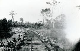 4615-20.jpg
