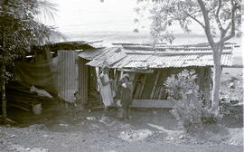 6190-3.jpg