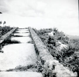 4119-9.jpg