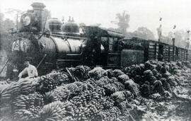 Fotografía de un ferrocarril de la Northern Railway Company, destinado al transporte de banano. S...