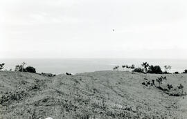 5685-2.jpg