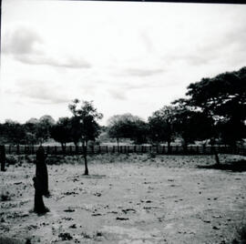4126-41.jpg
