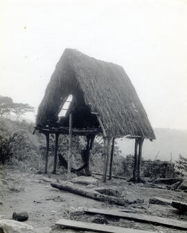 Fotografía de una choza indígena en Talamanca.Limón