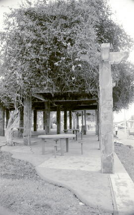 Negativo del Parque de Santo Domingo. Se observa una enramada situada en el mismo. Heredia