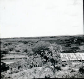 4119-3.jpg
