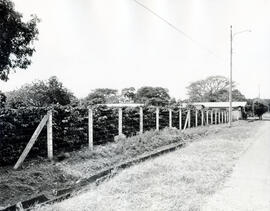 Fotografía de una cerca de alambre, se observa siembra de arboles y una casa al fondo. Se descono...